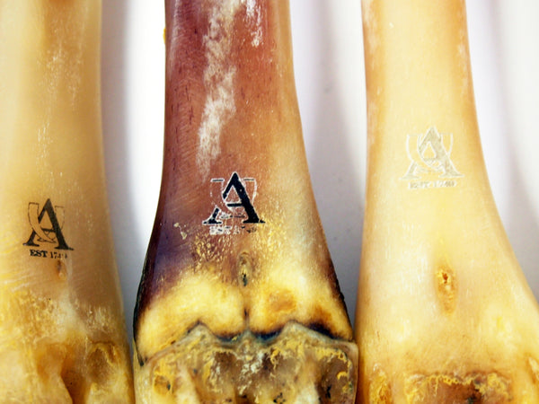 Abbeyhorn Deer Polishing Bone